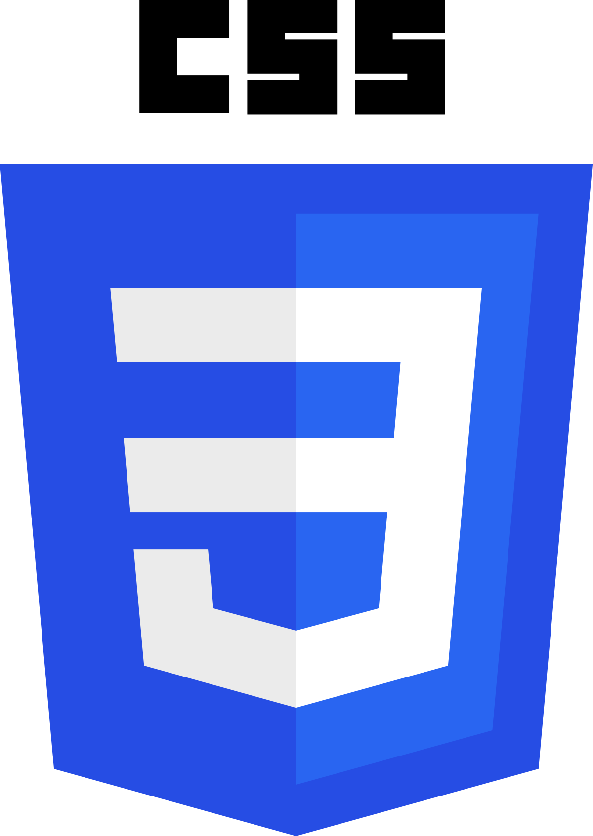 CSS_logo